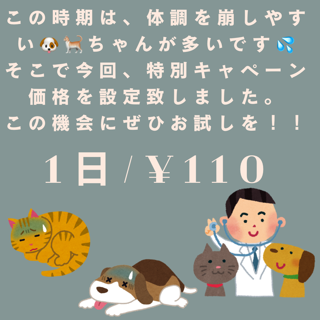 【100名様限定モニター価格 / 送料無料】おさんぽだいすき。 / ペット用エイジングケアサプリメント